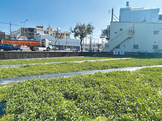 台中市大里区人口达21万，但都市计画土地不敷使用，非都市计画土地多但限制严格，地方抱怨阻碍发展，台中市议员李天生1日也批，大里非都计土地纳入夏田产业园区及大里扩大都市计画，却迟迟无进展。（台中市议员李天生提供／潘虹恩台中传真）