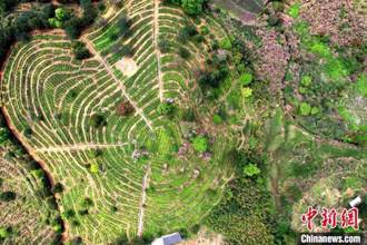 陸發布2024年「中央一號文件」 提出「推進鄉村全面振興路線圖」