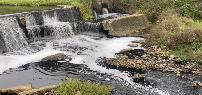 桃园观音富林溪爆发废水污染事件，环保局稽查发现是观音工业区雨水道排水异常所致。（吴进昌提供／蔡明亘桃园传真）