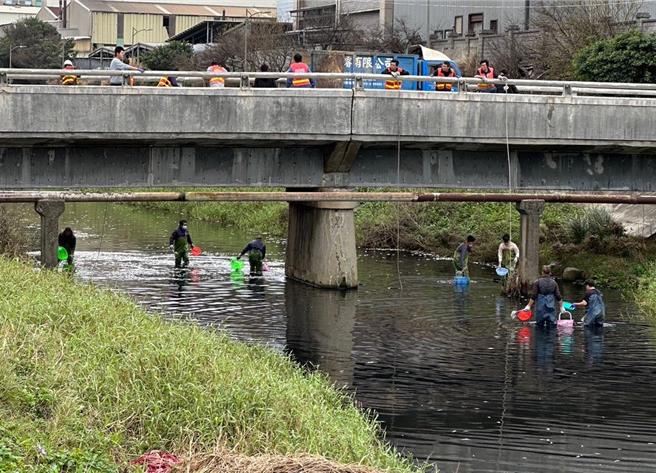 桃园观音富林溪爆发废水污染事件，环保局要求观音工业区限期5日前将鱼尸清理完，也要求观音工业区管理中心做好厂商管理。（环保局提供／蔡明亘桃园传真）