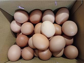 寒流走了蛋價持平不變 春節後有望微幅調降