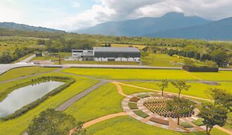 花蓮大農大富走春 徜徉油菜花海