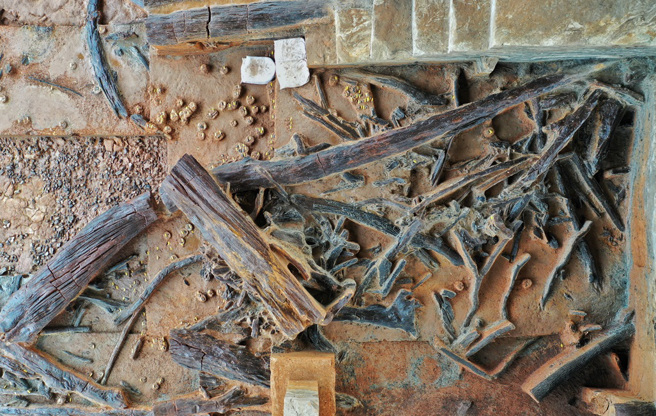 濛溪河遗址位于大陆四川，来自第四纪晚更新世，距今约5万到7万年前。(图为濛溪河遗址出土的乌木/新华社)