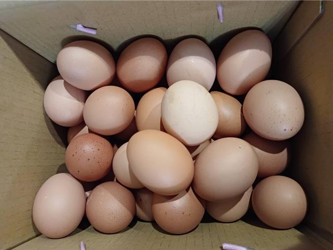 雞蛋示意圖。（本報資料照片）