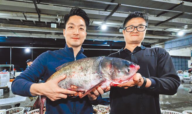 台北市长蒋万安（左）3日清晨走访鱼类批发市场以及第一果菜批发市场，了解春节前蔬果及鱼产品供应情形，慰问果菜及鱼类市场业者和工作人员的辛劳，蒋并抱起一尾大头鲢，关心业者销售状况。（郭吉铨摄）