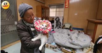 愛貓婦罹一生治不好「絲路病」　她賣地救援助數百毛孩獲新生