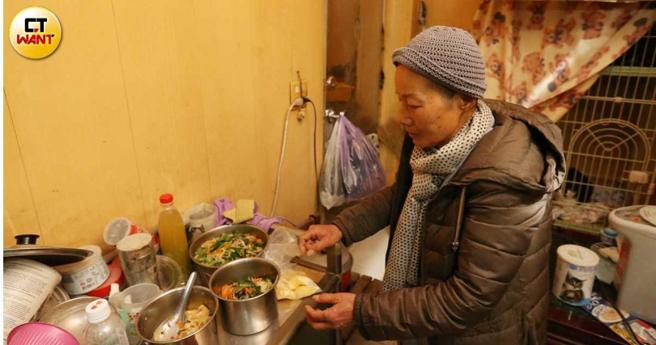 劉燕玉省吃儉用，靠著過去賣地的收入照顧貓咪，每月開銷高達10萬元。（圖／趙世勳攝）