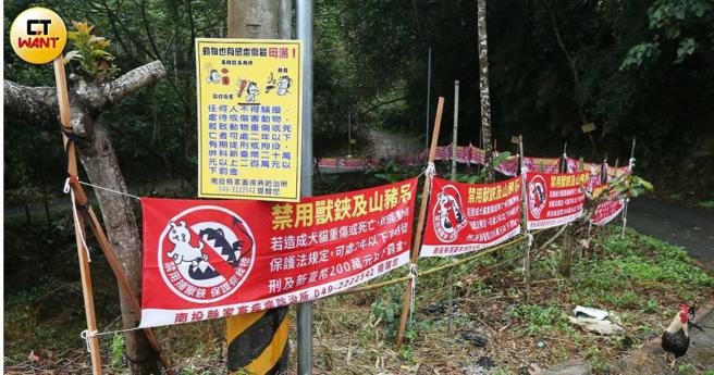 劉燕玉在自家門口掛上許多橫幅，期望附近民眾「不愛也別傷害」，盼毛孩們別再被毒殺或再遭捕獸鋏攻擊。（圖／趙世勳攝）