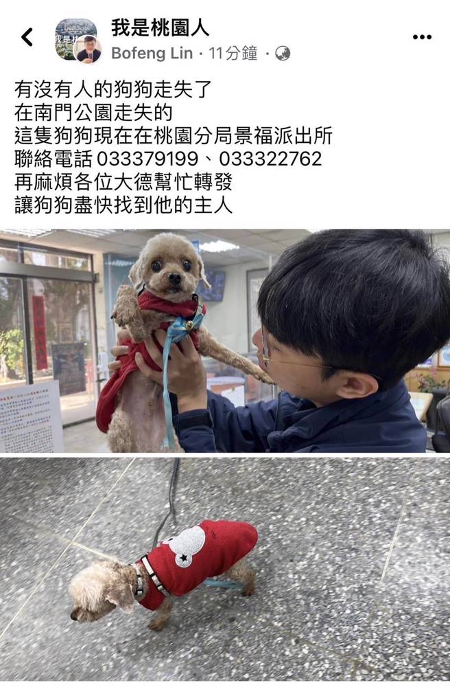 员警将犬只带回所内，随即联络附近里办公室协助发布协寻消息，同时于脸书社团张贴协寻公告。（翻摄画面）