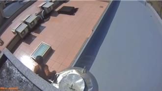 詐欺車手躲警追緝 狂奔上頂樓藏身水塔仍被逮