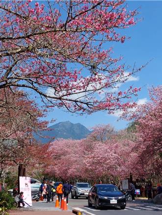 新年走春擁抱大自然 雪霸踏青賞景過好年
