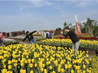 鬱金香迎賓、199暢遊樂園 台中走春攻略搶先看！