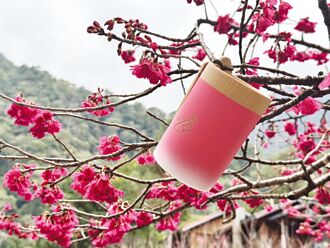 八仙山森林遊樂區推限量櫻花杯