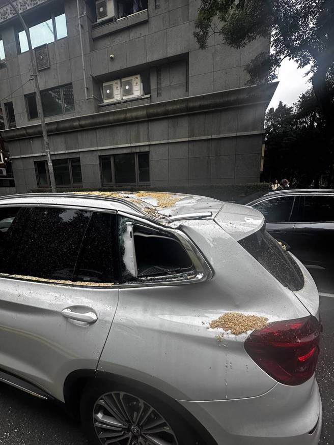 畫面曝光！北市仁愛路榕樹倒塌，BMW慘遭砸凹，8旬婦腦震盪。(葉庭欣/翻攝)