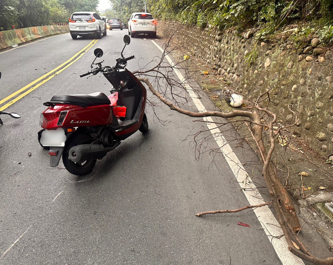 现场画面。（图 / 刘咏韵翻摄）