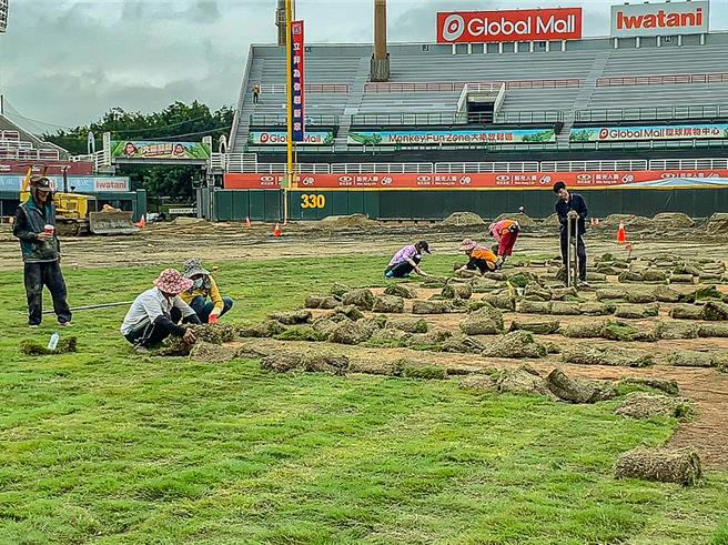 樂天棒球場正在進行各項優化工程，球場自4日起進行草皮回鋪作業、排水及噴灌系統改善等工程，預計要在3月底前完成。（桃園市體育局提供／陳夢茹桃園傳真）