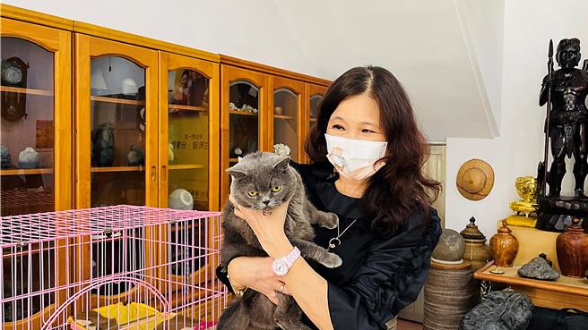 台东彩券行业者赖碧霞保养得宜，堪称美魔女，爱猫「乐乐」则是彩迷眼中的招财猫。（萧嘉蕙摄）