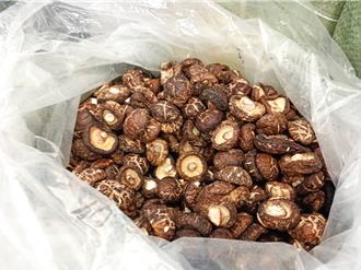 金門走私近2.5公噸香菇案偵結起訴 聲請沒收陸船及管制品