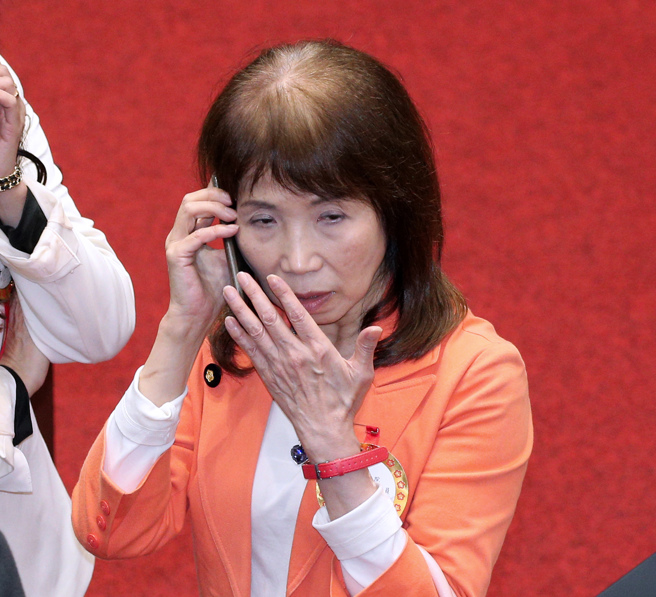 民眾党立委陈昭姿。（资料照,黄世麒摄）