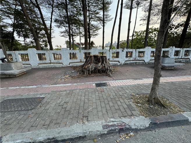 护树团体指出，该处人行道宽敞，扩大树穴与数共存不困难，对市府砍树做法感到遗憾。（翻摄自「高雄爱树人」脸书／任义宇高雄传真）