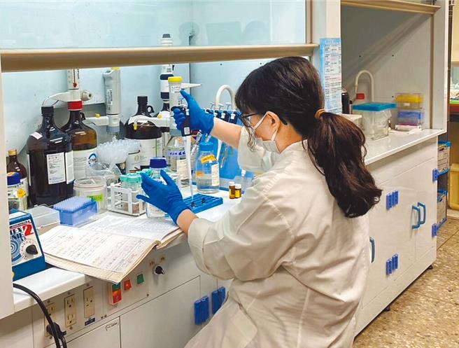 台中市府经多次复验台糖猪肉片检测出瘦肉精，台中地检署表示将持续关注。（台中市府提供／王煌忠台中传真）