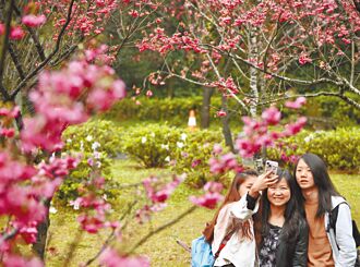 來陽明山賞花告白 蔣萬安喊保證脫單