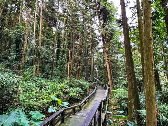 「龙美步道」是一条非常亲民的步道。（嘉义县政府提供∕吕妍庭嘉义传真）