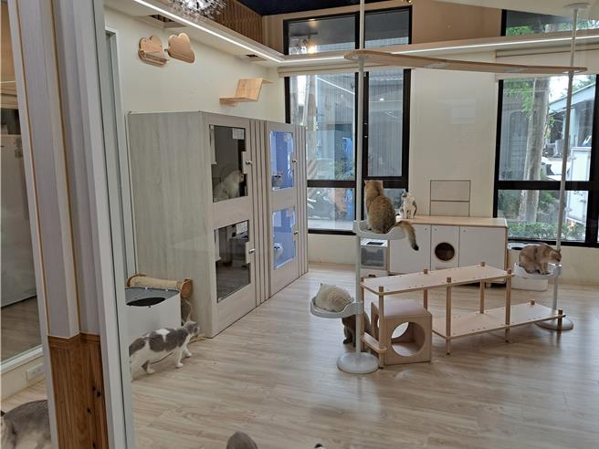 若有毛宝贝临时寄养需求，饲主可参考新北市合法宠物寄养业者名单，挑选适合的宠物旅馆。（新北市动保处提供／刘玮晴新北传真）