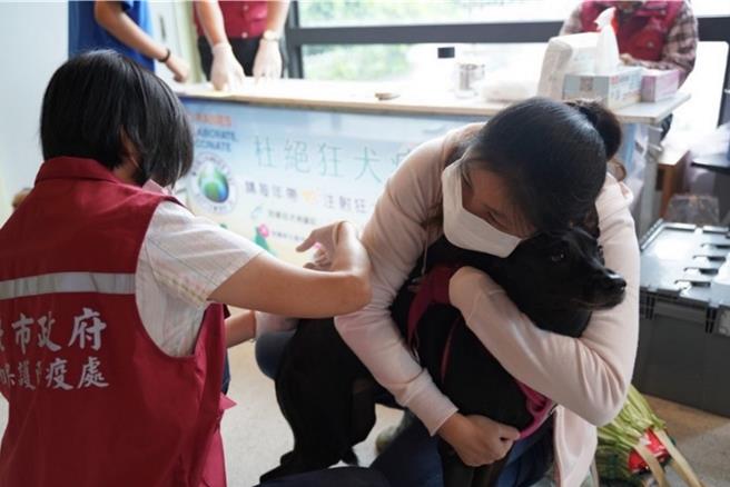毛宝贝饲主要帮宠物做好晶片注射及登记，并按时接受狂犬病预防注射。（新北市动保处提供／刘玮晴新北传真）