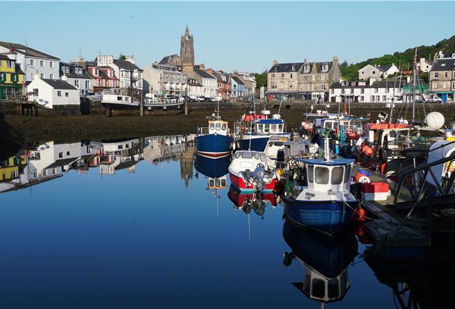 停泊在防波堤深处还沉睡在摇篮里的渔船，被染成宝蓝色的海水镜像复刻了每一寸细节，若没有海鸥轻点海面展翅高飞，真实与虚幻难舍难分！（王爵暐摄）