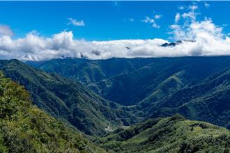 竹縣激推3秘境 賞櫻花、訪古蹟、別錯過傳統美食
