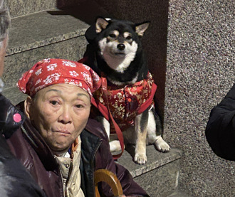 除夕夜好熱鬧！阿嫲帶「柴柴」排隊領錢母  民眾直擊「呆萌模樣」嗨翻