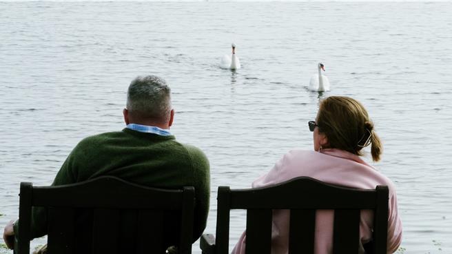 一对天鹅缓缓地从海的远方游来，与閒坐在海边的老夫妇相映成趣。（王爵暐摄）