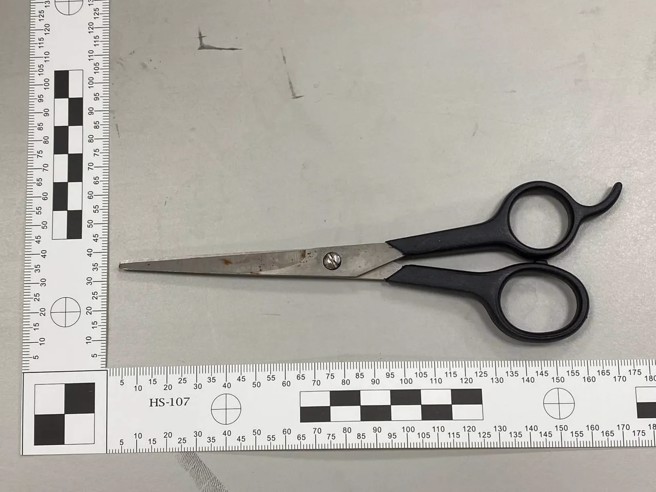 生母当时用来剪脐带的剪刀。（翻摄画面）