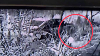 女童公園「挖到嬰屍」驚爆殺嬰！生母罪嫌重大卻獲交保 理由曝光