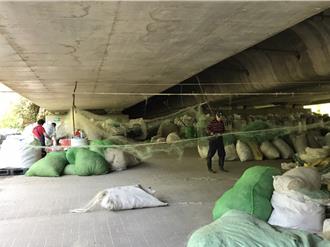 桃園近50公噸海廢獲新生 揪企業創造藍色循環經濟