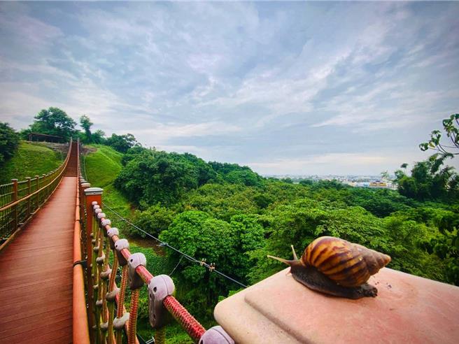 弥陀漯底山自然公园是少老閒宜的景点。（高雄市政府观光局提供／林雅惠传真）