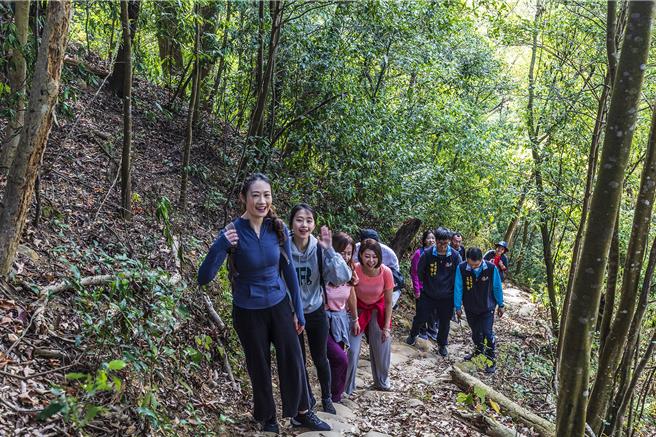 新埔鎮「飛龍步道」從登山口一路往上攀走，對平時很少登山的人來說確實有點辛苦。（羅浚濱攝）