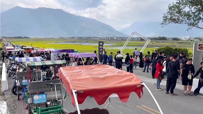 台東池上伯朗大道初三起湧現走春人潮。（蕭嘉蕙攝）