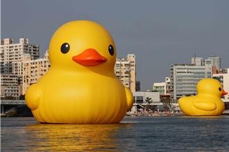 情人節限定！高雄「雙鴨」放閃Kiss  最佳拍攝點曝光