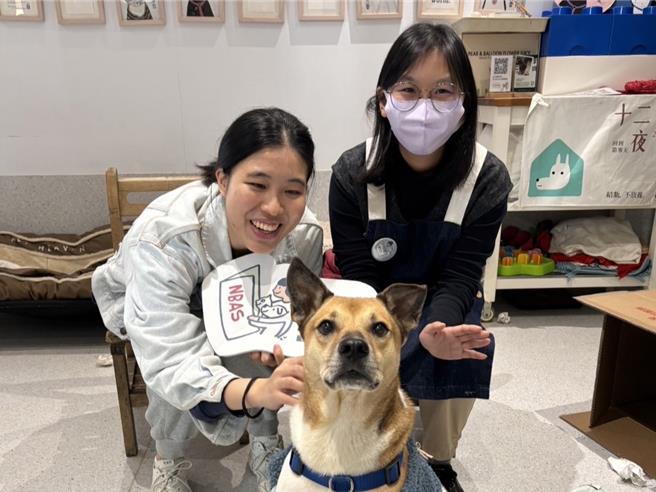 花生是「家人時光」的紅牌。（無尾香蕉動物學校提供／袁庭堯高雄傳真）