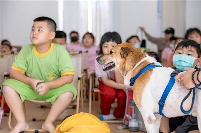 花生也是稱職的學伴。（無尾香蕉動物學校提供／袁庭堯高雄傳真）