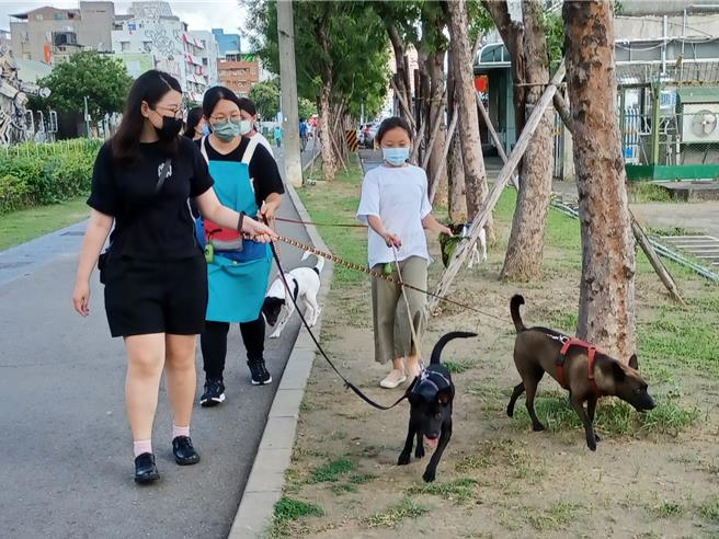 要讓毛孩成為家人，需要一段相識、相愛的過程，學校致力推動「漸進式認養」，去年起也同步推動兒少動物教育支持計畫。（無尾香蕉動物學校提供／袁庭堯高雄傳真）
