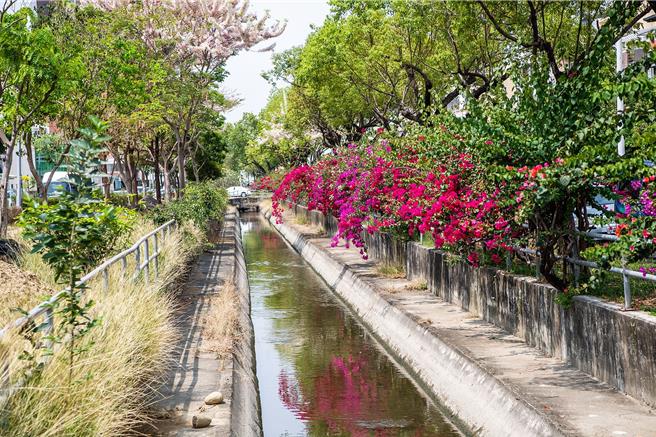 嘉义市道将圳现况。（嘉义市政府提供／廖素慧嘉市传真）