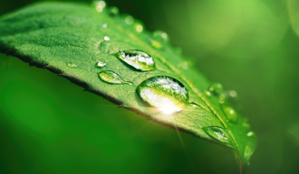 「雨水」將至 情感紛爭增加 命理師曝2招助補運