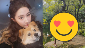 劉亦菲「時隔1個月」精靈系美照近況曝 全網暴動：狠心的女人