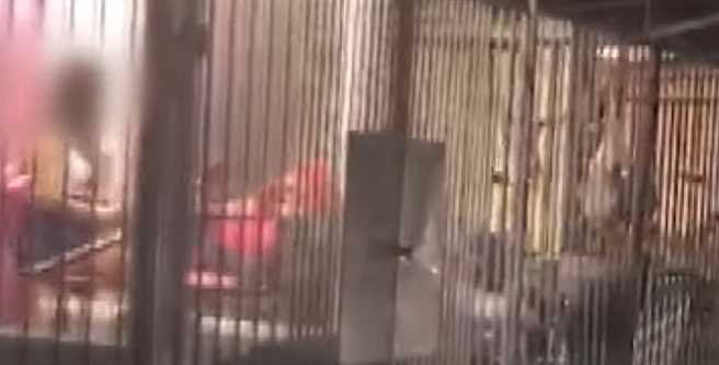 私娼寮鐵窗裡的外籍女子，穿著清涼火辣。(資料照)