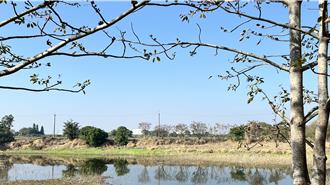 农水署斥7千万整治白河林初埤 施工将避开木棉花季