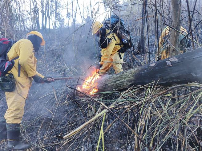 台中市梨山地區大甲溪事業區第66林班地，16日深夜傳出森林火警，台中市消防局、林業保育署台中分署17日清晨5點多仍搶救中，目前估計動員47人進行滅火作業。（林業保育署台中分署提供／張妍溱台中傳真）