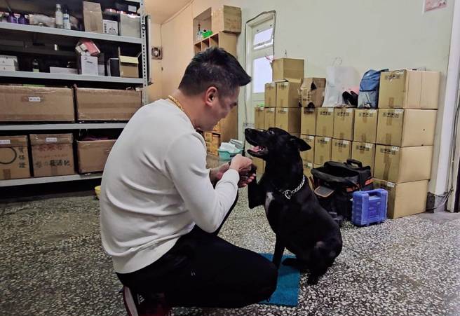 周先生與9歲米克斯感情相當好。(游定剛拍攝)